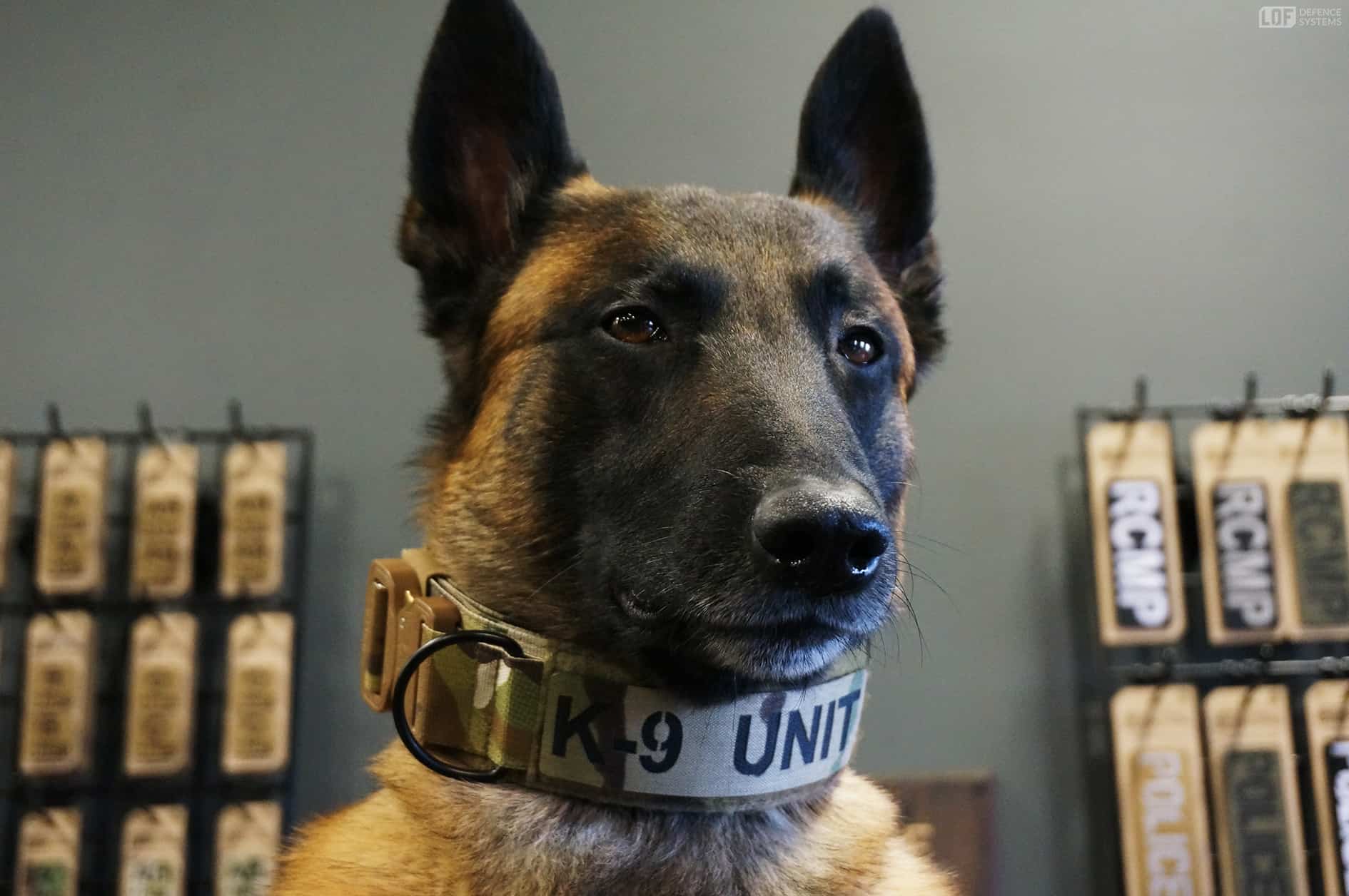 K-9 UNIT Patch – Tactical ID for Handlers & Working Dogs